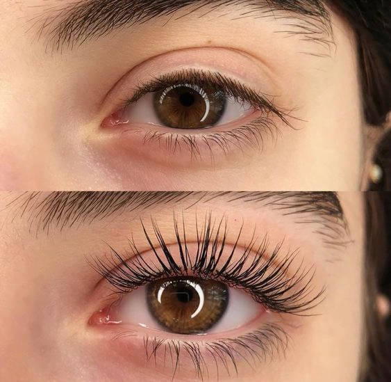 How To Easily Lift And Tint Your Eyelashes At Home (2023) Eyelash Tint
